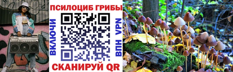 Купить закладки  Лихославль  Псилоцибиновые грибы Cubensis 